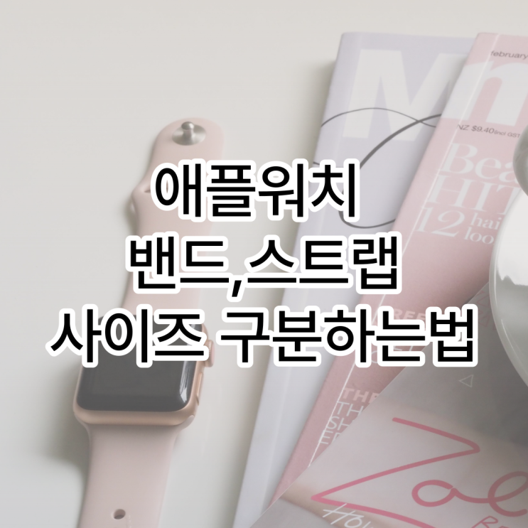  애플워치 밴드 사이즈 호환 바로 알아봐요