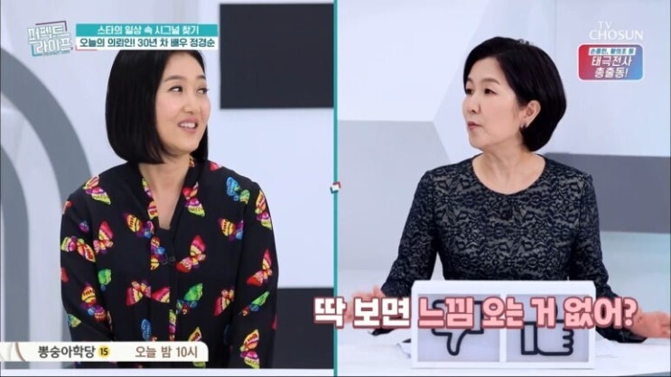  정경순 나이 남편 직업 이건만 결혼 자녀 가족 고향 노유정 이영범 외도녀