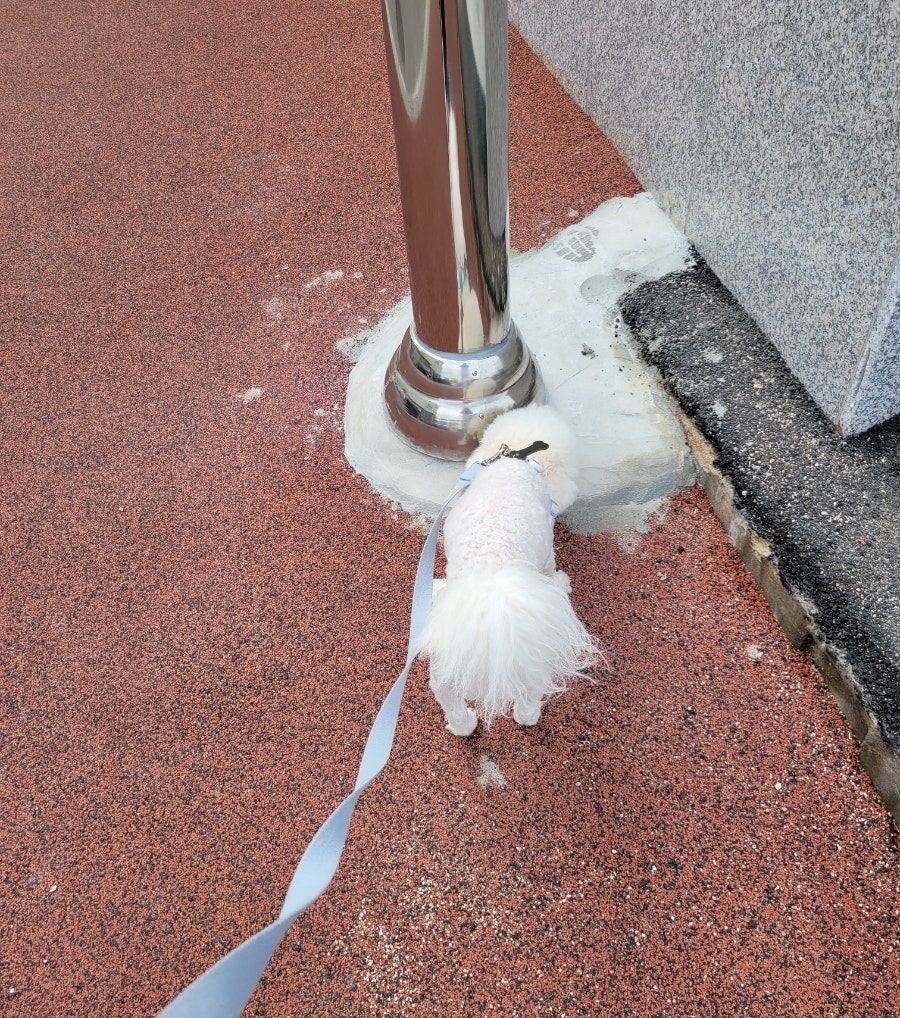 강영석동물병원 사진 5