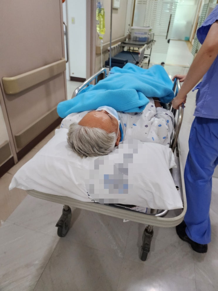  70대 부정맥시술 냉각풍선절제술 후기 / 부정맥 원인 증상 예방