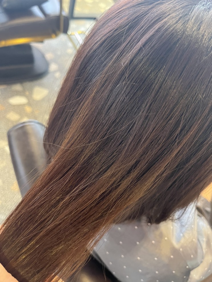  노원역 미용실 헤어더뷰 노원점 배서현 실장님 스페셜 클리닉 후기 손상모 관리 tip