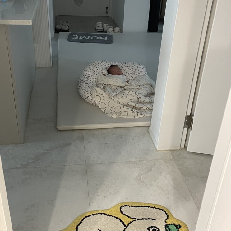  16일 조이 | 새벽통잠, 산부인과 진료, 브런치카페