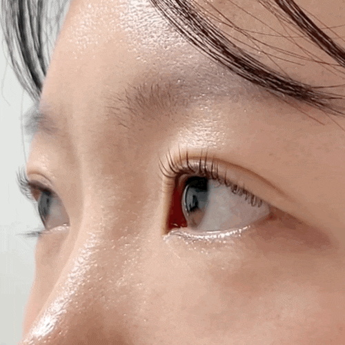 완산구 속눈썹 펌) 바쁘다 현대사회 맞춤인 티나살롱에서 속눈썹 펌 25분 컷 하다! 완산구 속눈썹 펌) 바쁘다 현대사회 맞춤인 티나살롱에서 속눈썹 펌 25분 컷 하다!