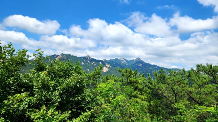 <b>서울</b>둘레길 8-1,2 코스] 북한산의 울창한 숲길을 <b>폭염주의보</b>... 