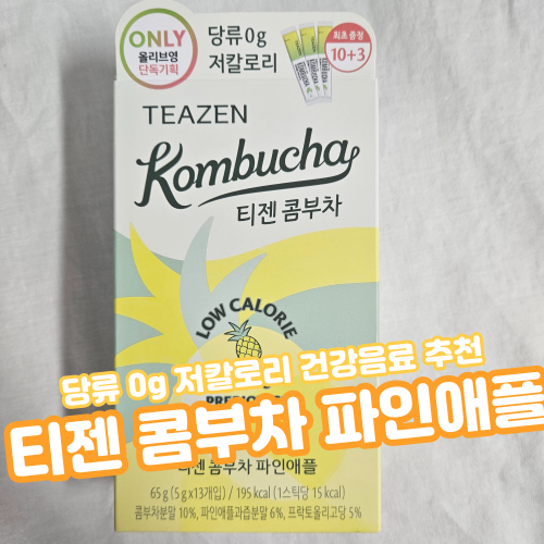  [다이어트/음료추천] 저칼로리 당류 0g "티젠 콤부차 파인애플맛" 후기
