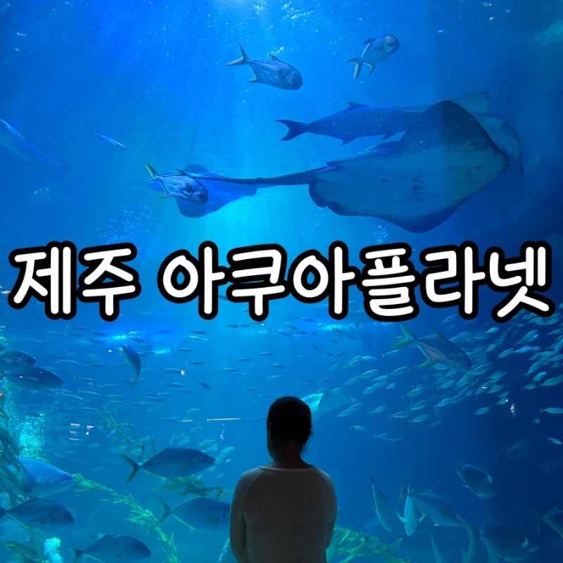 제주 한화아쿠아플라넷 입장권 할인가격 푸드코트