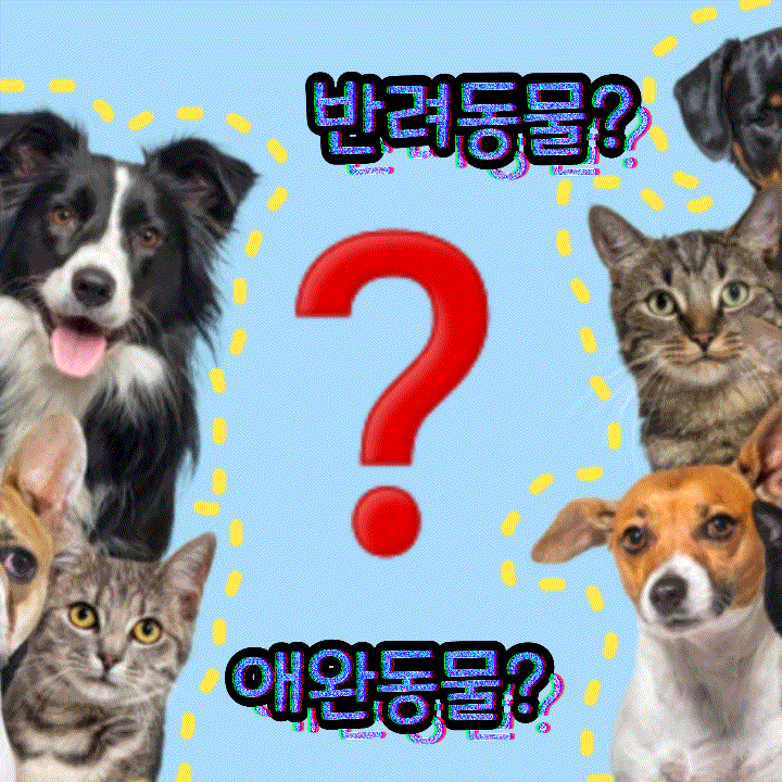  반려동물 뜻 유래 애완동물 의미 차이