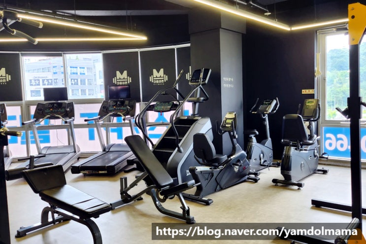  종촌동 필라테스 마음바른휘트니스 다이어트 후기