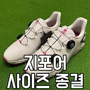 지포어 남성 골프화 사이즈 종결(feat. 스파이크리스 지드라이브)