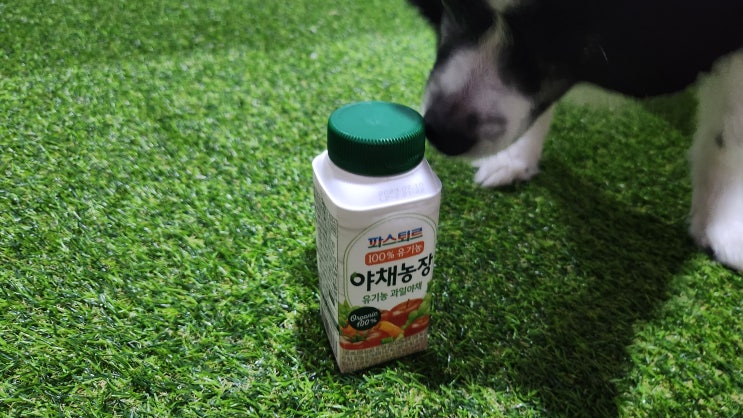  파스퇴르 야채주스 편식쟁이 나에게 주는 선물