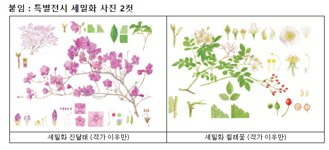 식물세밀화 특별전 “꽃에게 말을 걸다” 식물세밀화 특별전 “꽃에게 말을 걸다”
