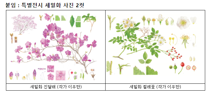 식물세밀화 특별전 “꽃에게 말을 걸다”