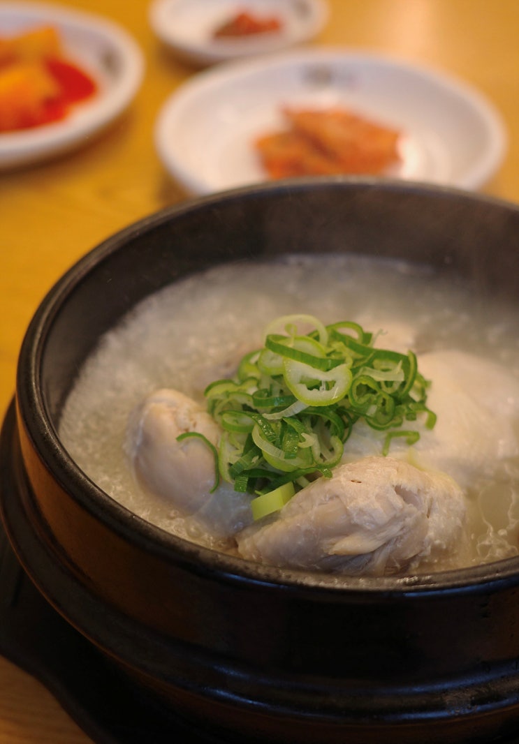 신촌 맛집 혼밥 추천 장수 보감에서 삼계탕 한 그릇