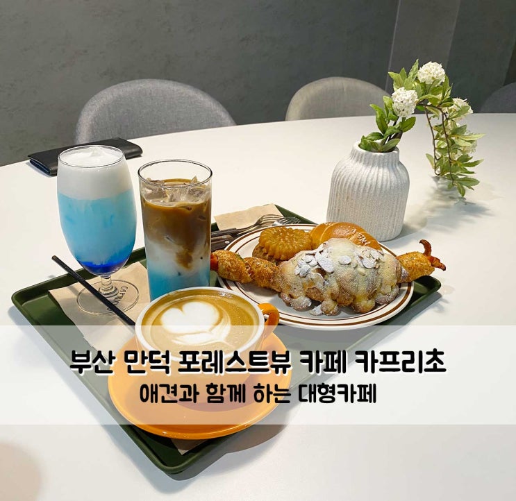  부산 만덕 포레스트뷰 대형 카페 카프리초