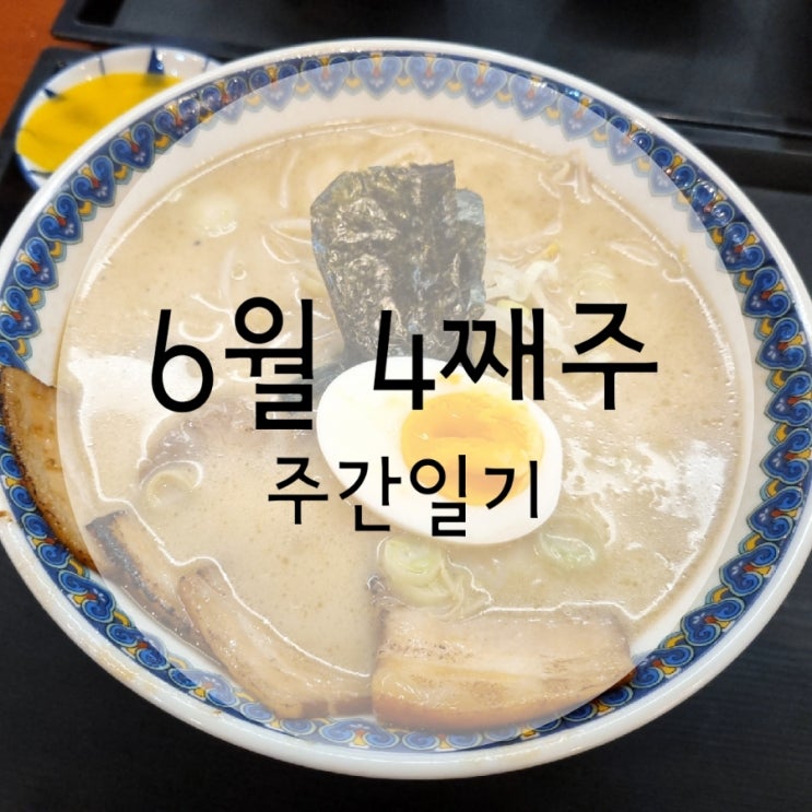  6월 4째주 주간일기