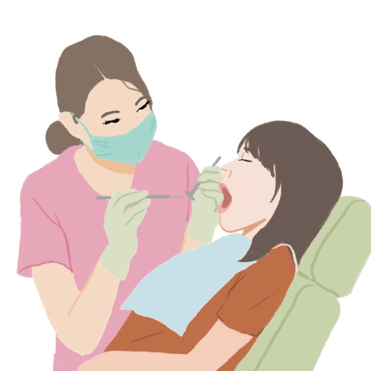  주요대학 치의예과 지원 가능성적 알아보기