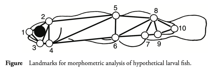 물고기를 구별해 보자: landmark-based morphometric analysis