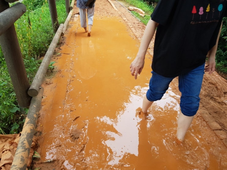  인천 맨발걷기 하기 좋은 황토길 연수구 승기천 황톳길