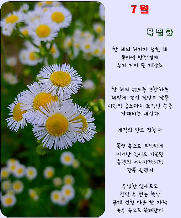 [오늘의 시 한모금]_목 필균 시인님의 '7월'_환기타임즈 다올시스템