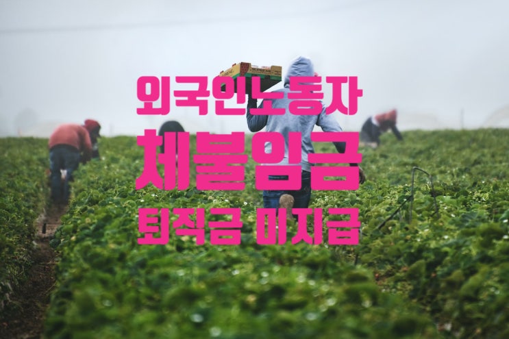외국인 불법체류자 체불임금(월급) 및 퇴직금 지급_5인미만 사업장 근로기준법 적용 대상일까? 태국_베트남_스리랑카_네팔_필리핀 등 외국인 불법체류자 체불임금(월급) 및 퇴직금 지급_5인미만 사업장 근로기준법 적용 대상일까? 태국_베트남_스리랑카_네팔_필리핀 등