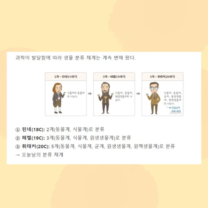 다양한 생물의 분류 기준 특징 식물계부터 생물계까지 : 네이버 블로그