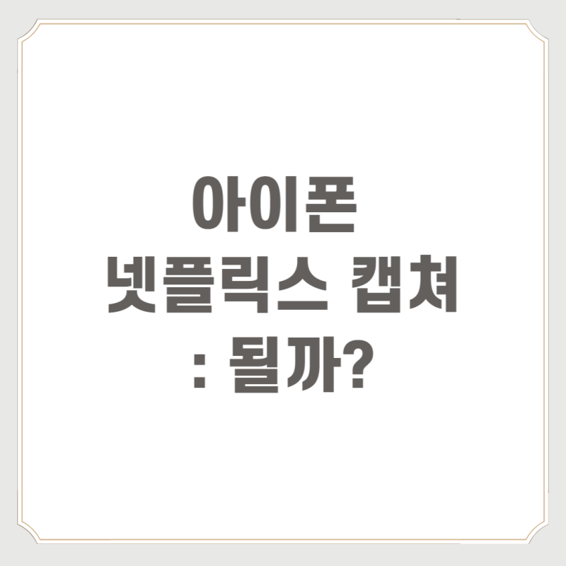 아이폰 넷플릭스 캡쳐 : 될까?