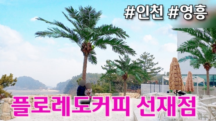  인천 : 영흥 플로레도커피 선재점 애견동반가능