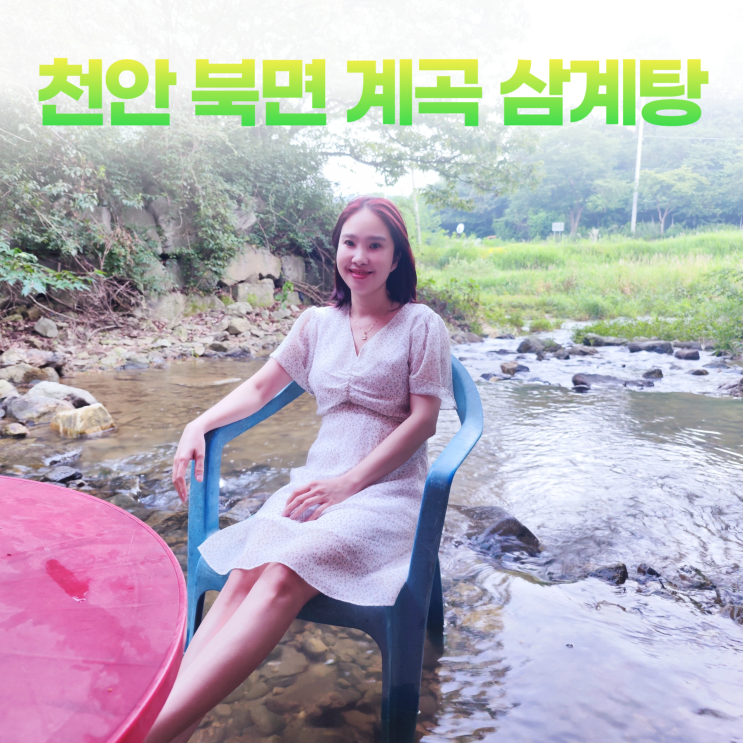 천안 북면 계곡 삼계탕 맛집 내고향가든 한국의 음식 문화 천안 북면 계곡 삼계탕 맛집 내고향가든 한국의 음식 문화