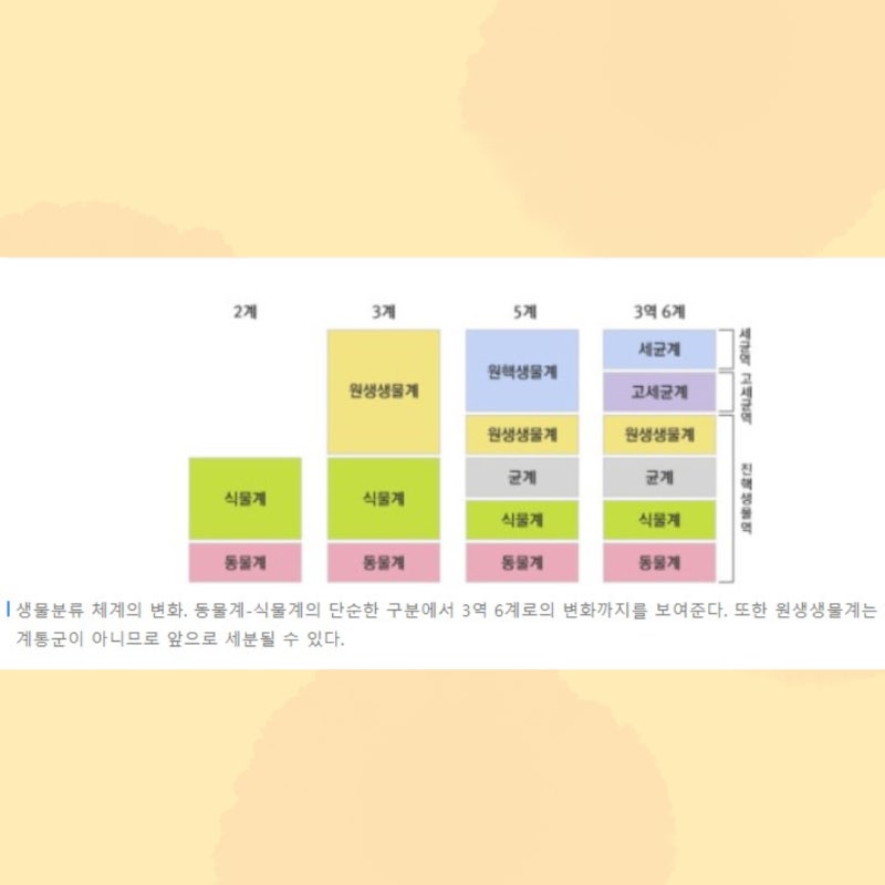 다양한 생물의 분류 기준 특징 식물계부터 생물계까지 : 네이버 블로그