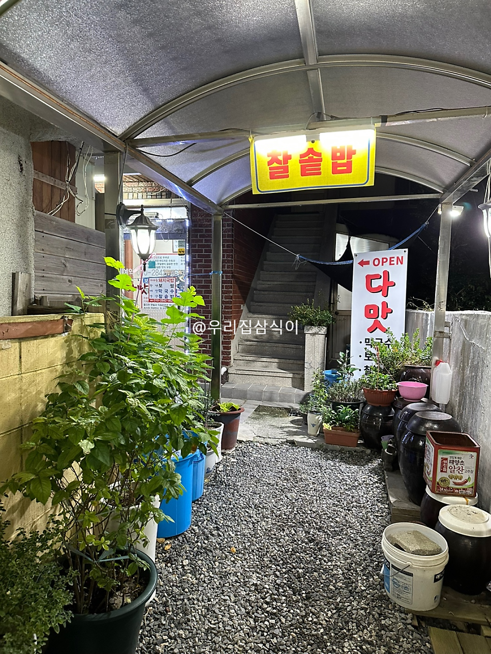다맛 사진 2