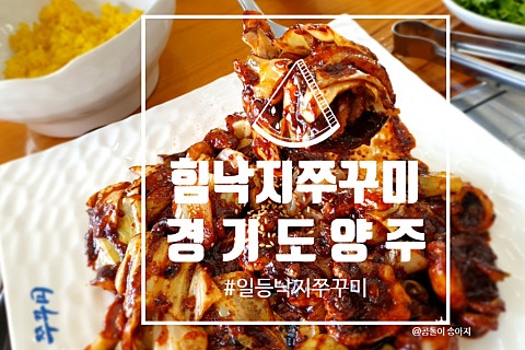 힘낙지쭈꾸미 이미지