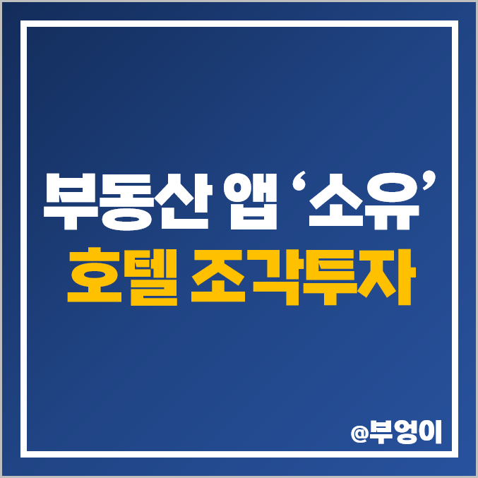 소유 앱 부동산 조각투자 소액 재테크 활용 상가건물 및 호텔 매매