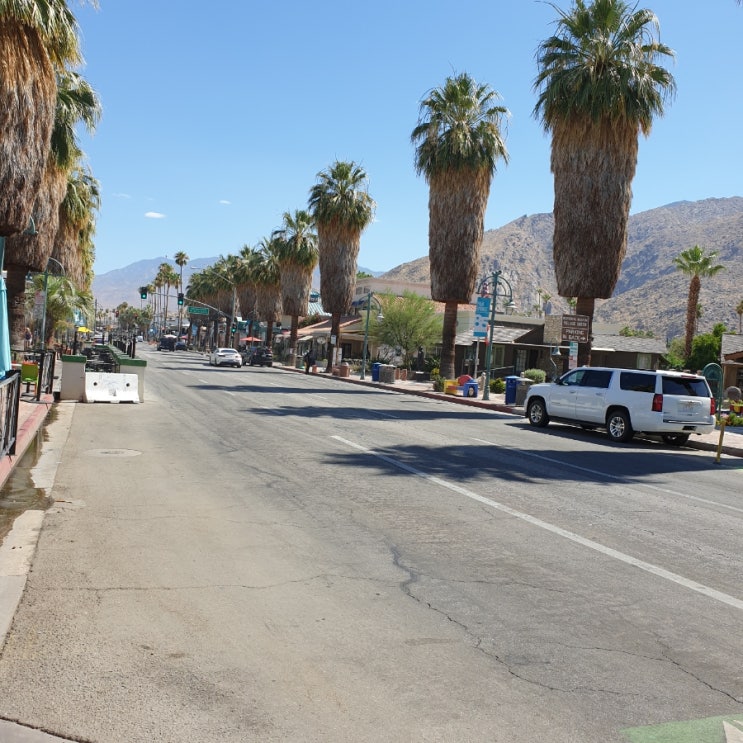  팜스프링스(Palm Springs) 42도 실화냐?