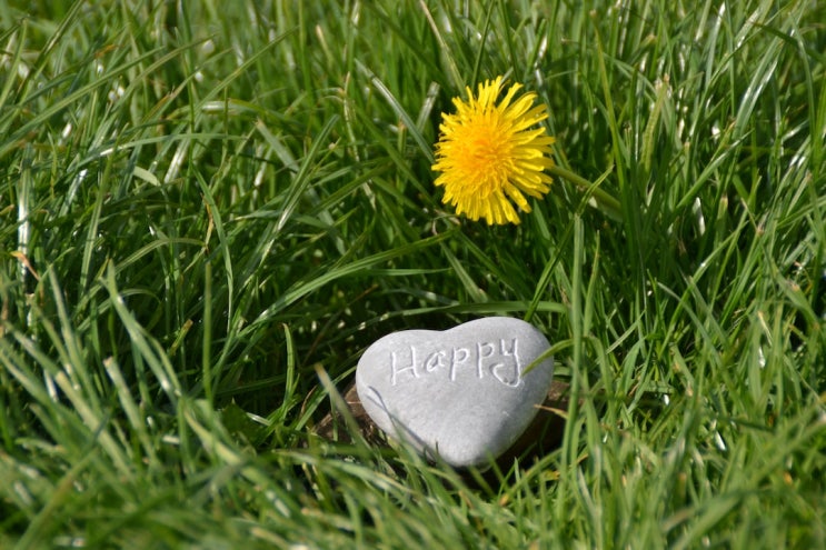 Happy Happy