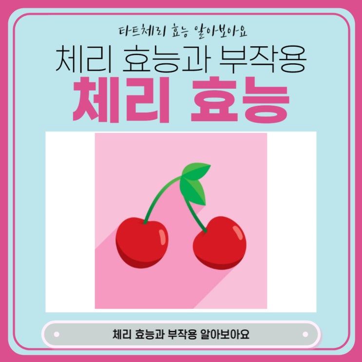  체리 효능 부작용 타트체리 효능 알아보아요