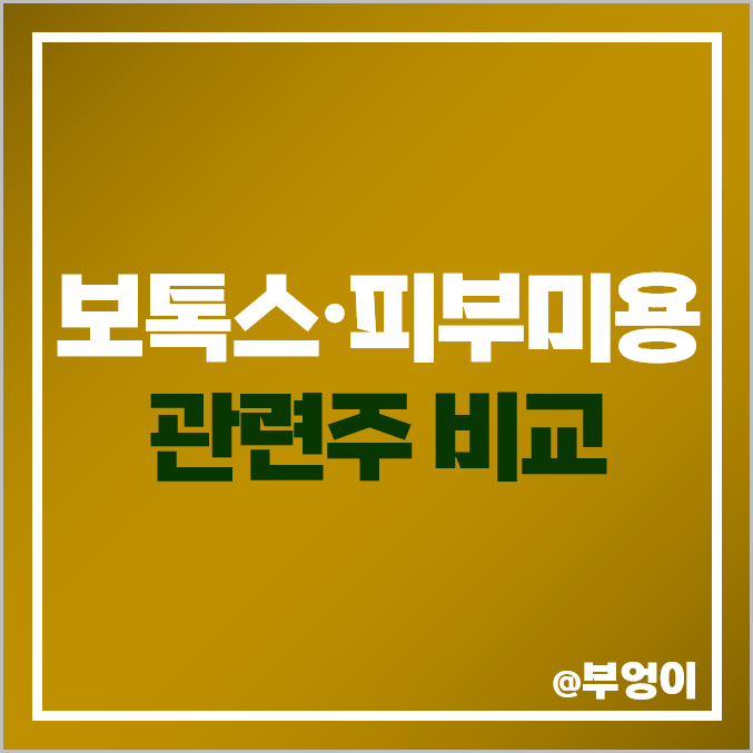 피부미용, 보톡스 관련주 : 휴젤 메디톡스 주식 PER PBR 주가 비교 피부미용, 보톡스 관련주 : 휴젤 메디톡스 주식 PER PBR 주가 비교