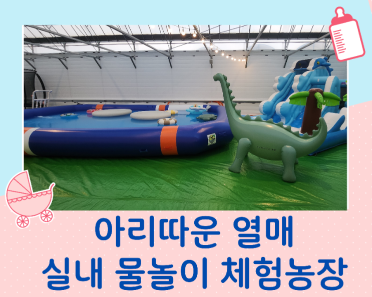  아리따운 열매 경기도 안성 아이와 실내 물놀이 가능한 체험농장/예약 방법