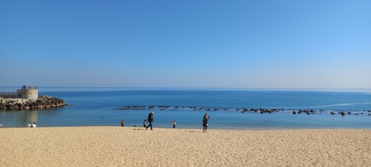  6년만에 돌아왔네요.