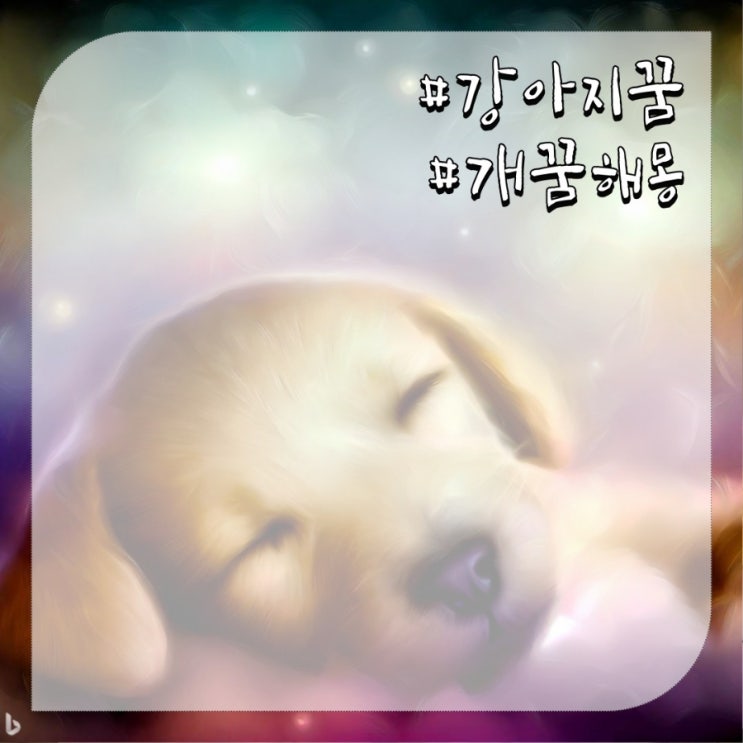  개꿈 해몽 흰강아지 태몽 새끼 강아지 꿈 큰개꿈 의미