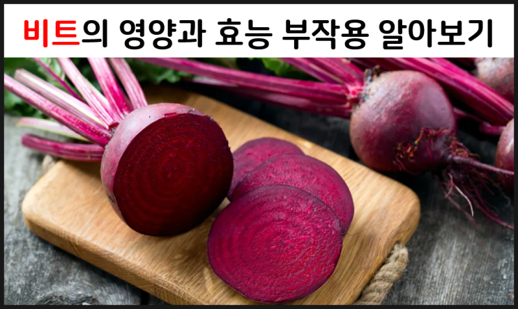 비트의 영양과 효능 부작용을 알아보자