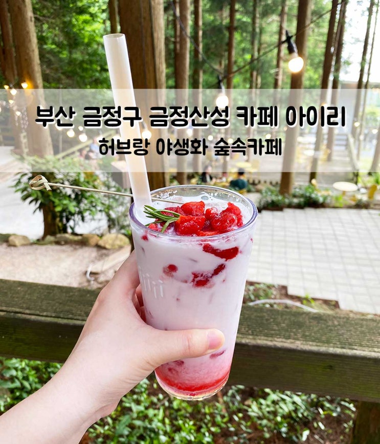  부산 금정산성 숲속 카페 아이리 허브랑 야생화