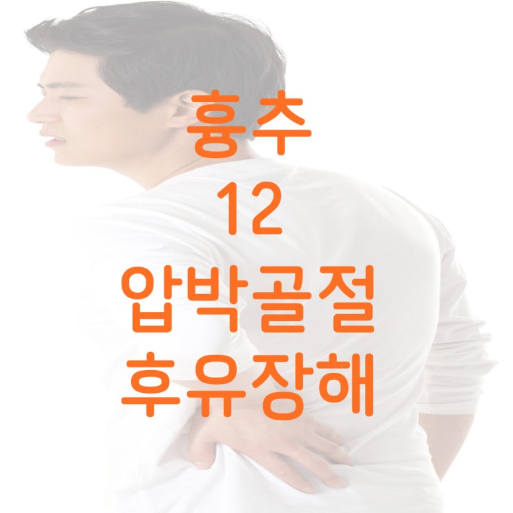 흉추12번(T12)압박골절 상해후유장해 해결, 보험계약별, 환자의 특성 감안 산정