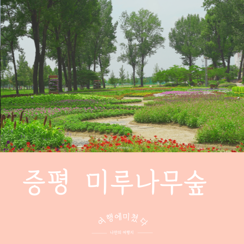  보강천 미루나무숲 충북 증평 가볼만한곳 데이트하기 좋은 공원추천