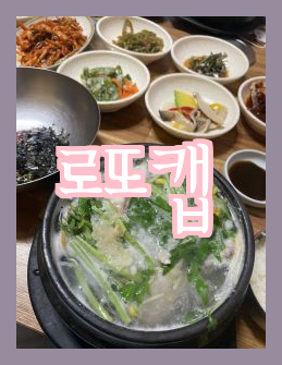  (노브랜드 편맥 산청계곡 캡모자세탁 하대동 로또명당)