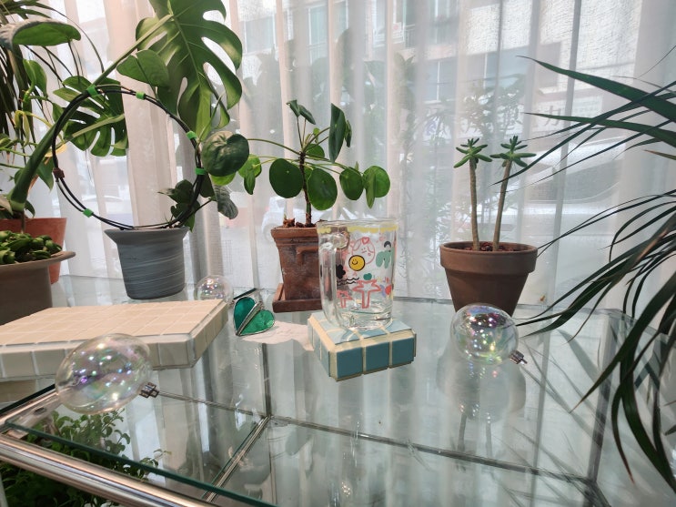  창원 공방 원데이클래스 플라쎄스튜디오 도자기공방