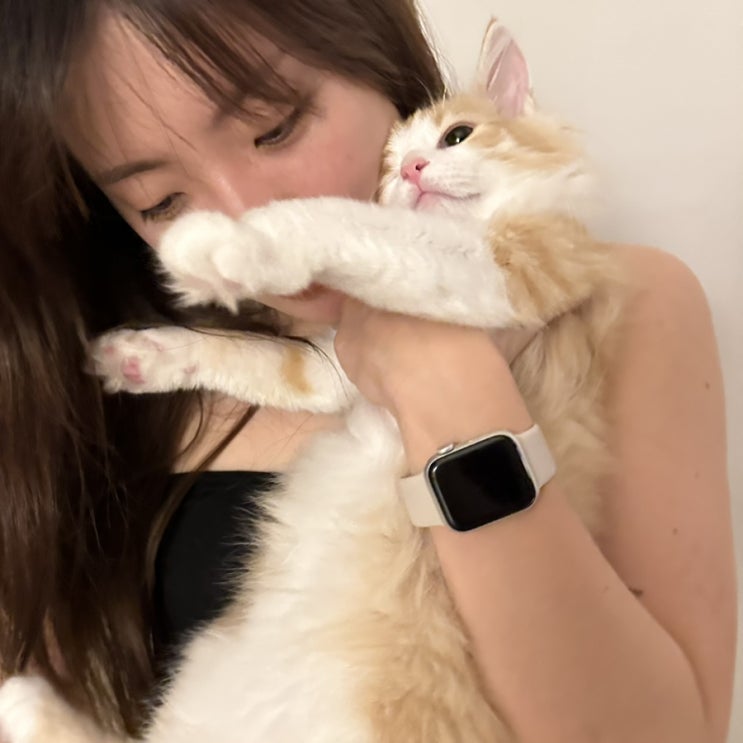  6월 전반