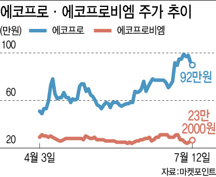 ‘어닝쇼크’ 에코프로, 황제주 반납…개미는 또 샀다 ‘어닝쇼크’ 에코프로, 황제주 반납…개미는 또 샀다
