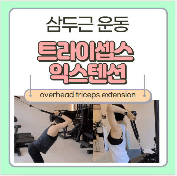 오버헤드 케이블 트라이셉스 익스텐션 종류 삼두근 운동방법 및 자세  overhead cable triceps extension