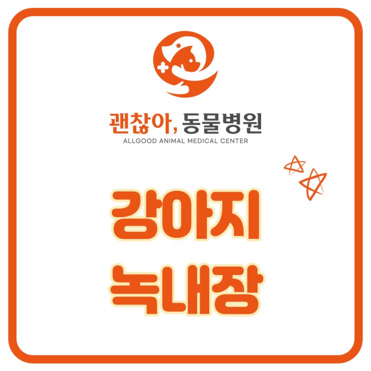  평택고덕 괜찮아 동물병원과 강아지 녹내장 알아보기(아산 동물병원)