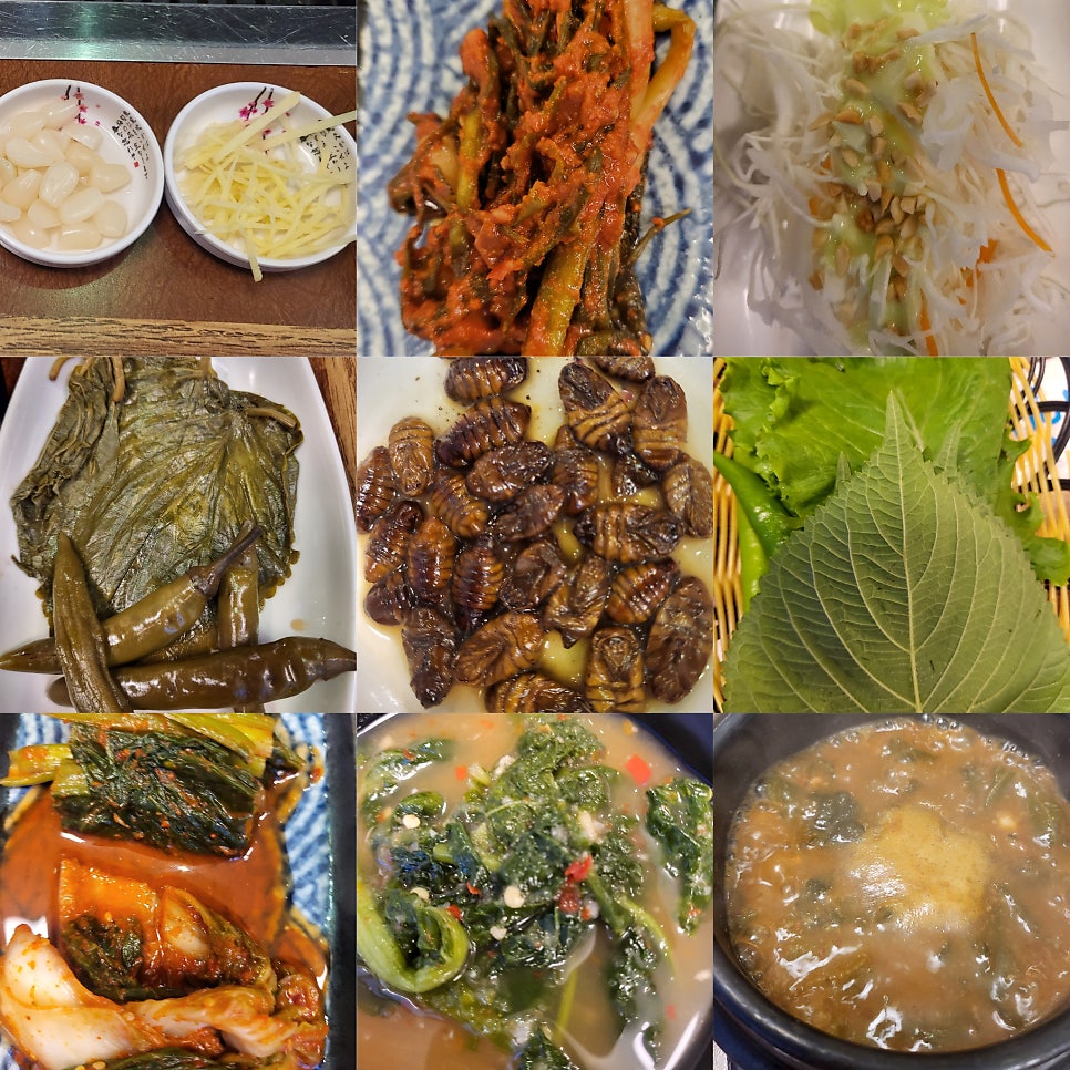 옥당풍천민물장어 풍암점 사진 1